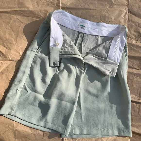 Aritzia Wilfred Limerick Pleated Shorts, Sz 4, Excellent Condition, LNWOT - Picture 5 of 16